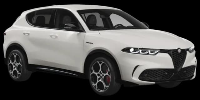 Alfa White car