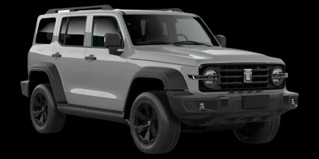 Fossil Grey car