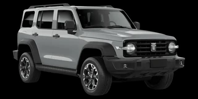 Fossil Grey car