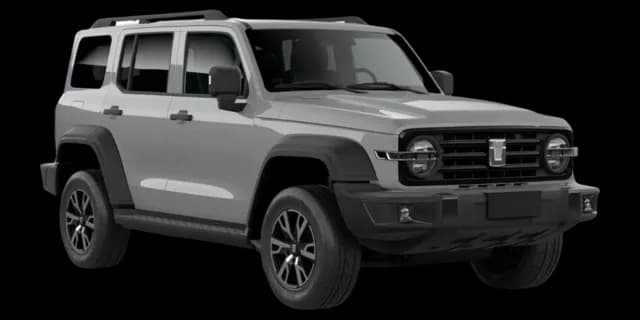 Fossil Grey car