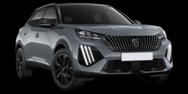 Sellenium Grey car