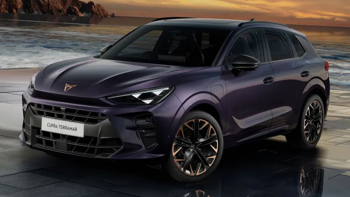 Cupra-Terramar-4
